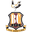 Bradford City logo