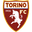 Torino logo